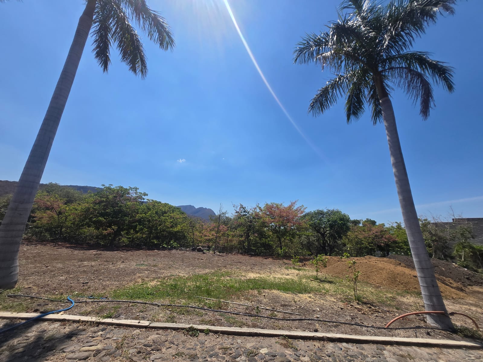 Terreno en venta en tuxcueca Jalisco $900,00MXN